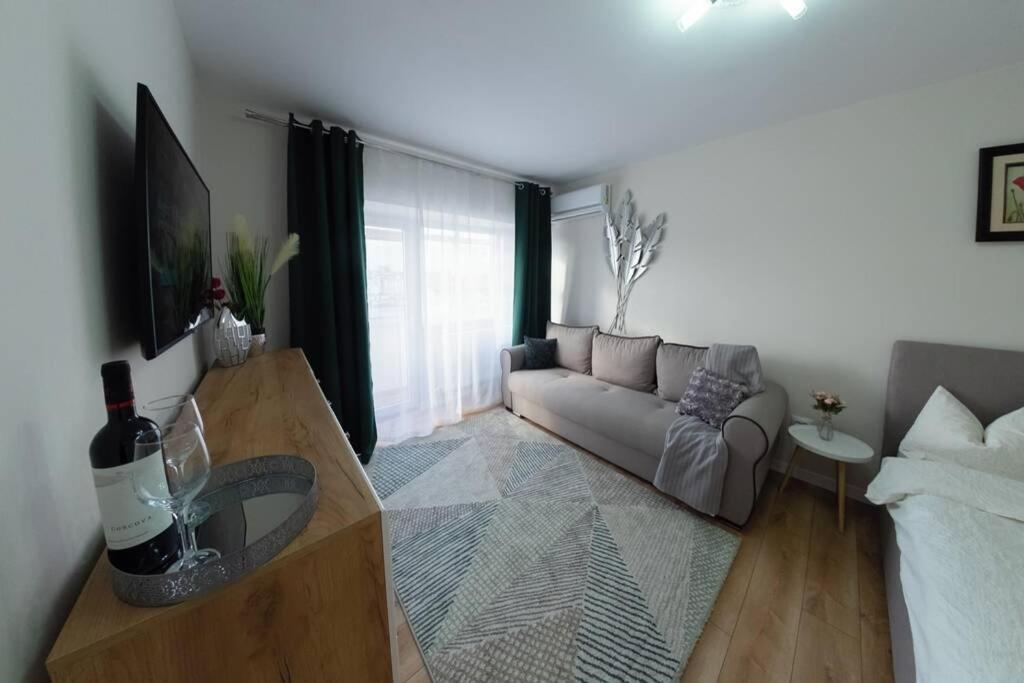 Studio With A View In City Center Τιργκόβιστε Εξωτερικό φωτογραφία