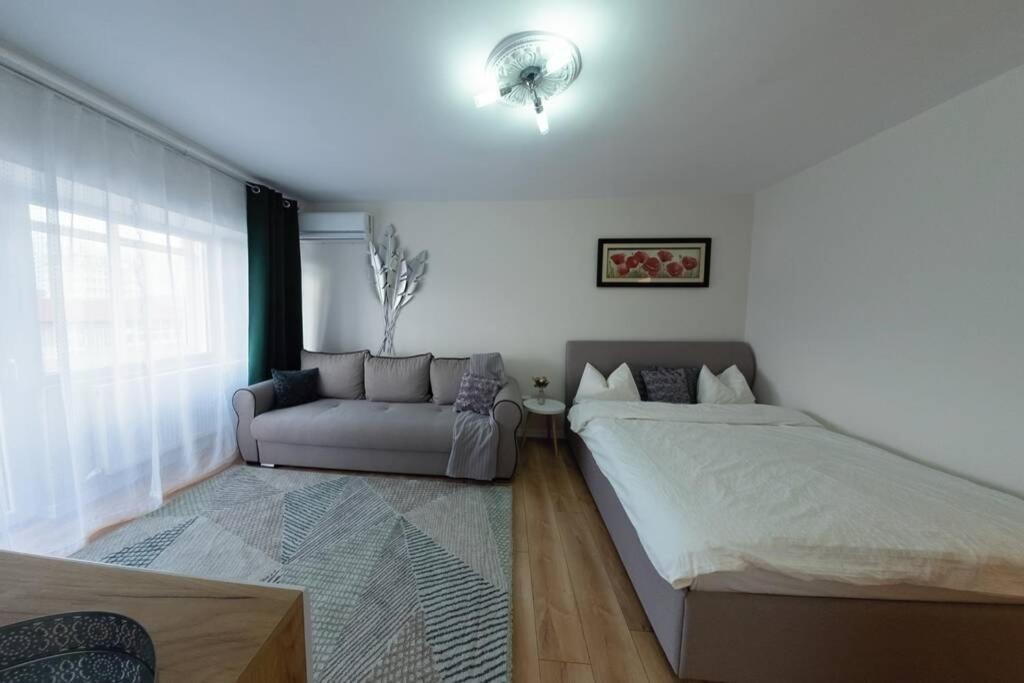 Studio With A View In City Center Τιργκόβιστε Εξωτερικό φωτογραφία